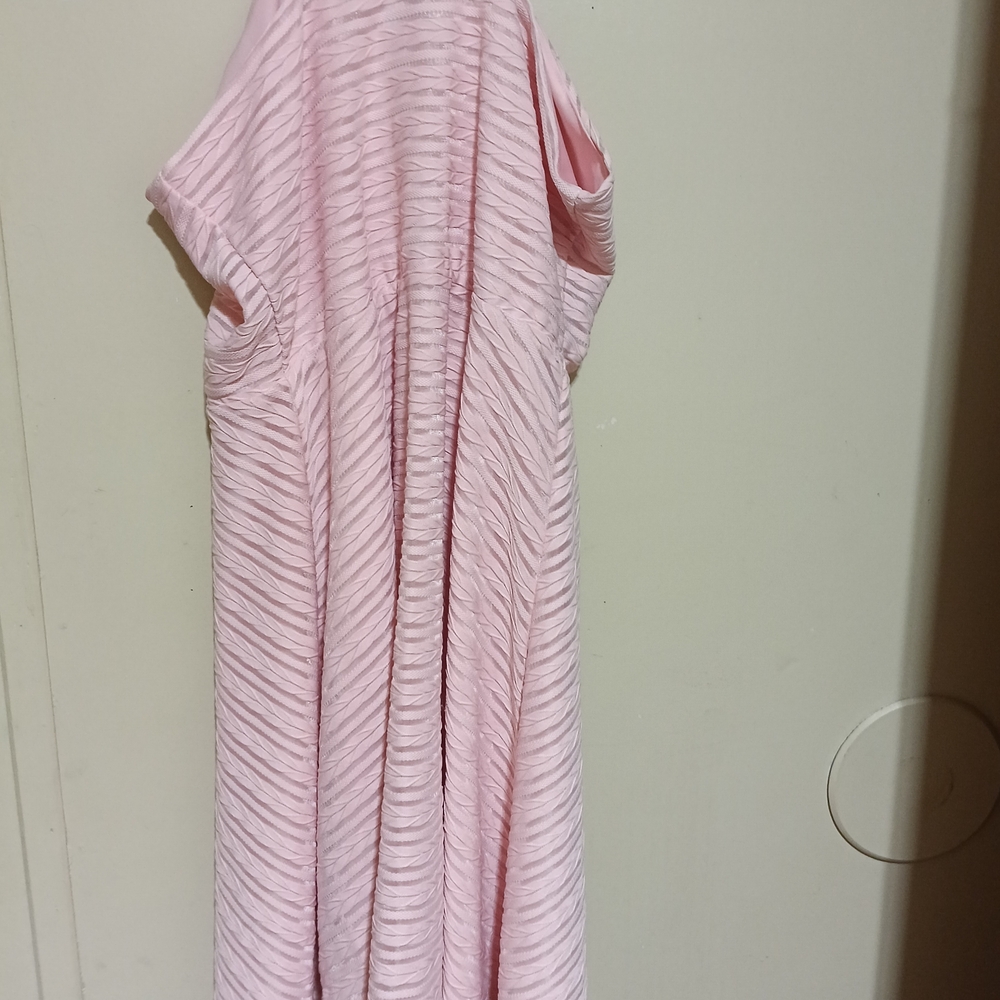 Place Blush Pink Mesh Dress